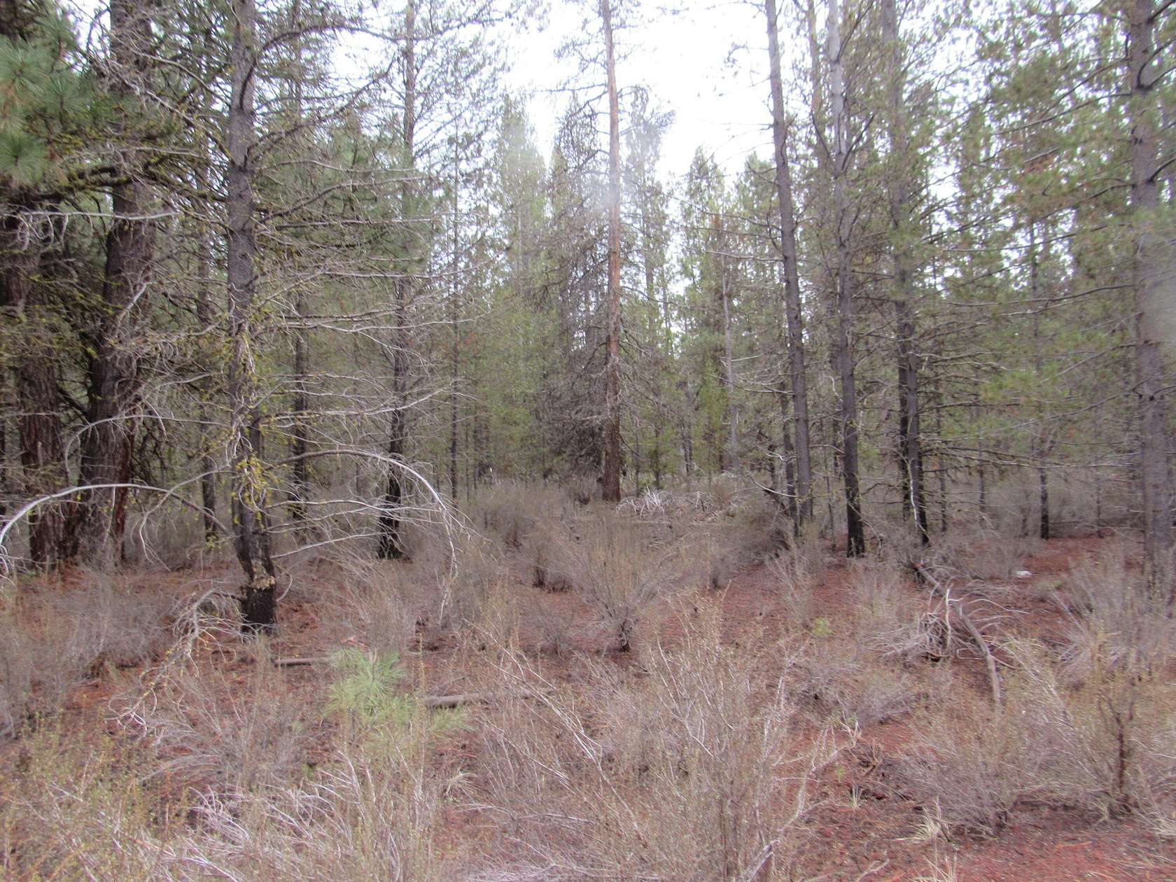 1 Acre of Residential Land for Sale in Chiloquin, Oregon
