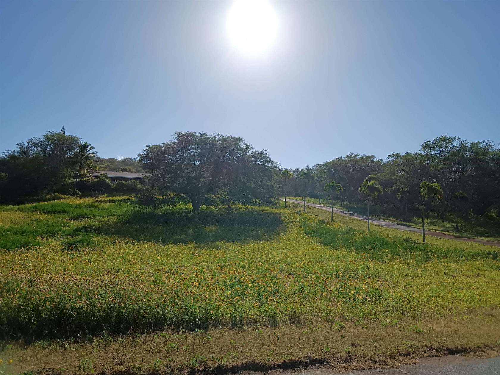5.1 Acres of Residential Land with Home for Sale in Maunaloa, Hawaii