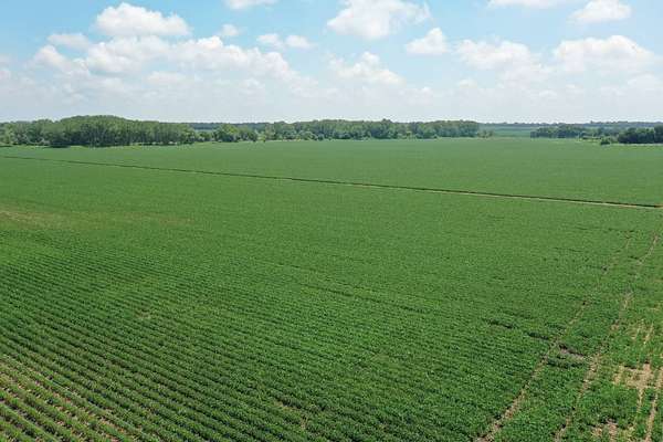 140 Acres of Agricultural Land for Sale in Fullerton, Nebraska