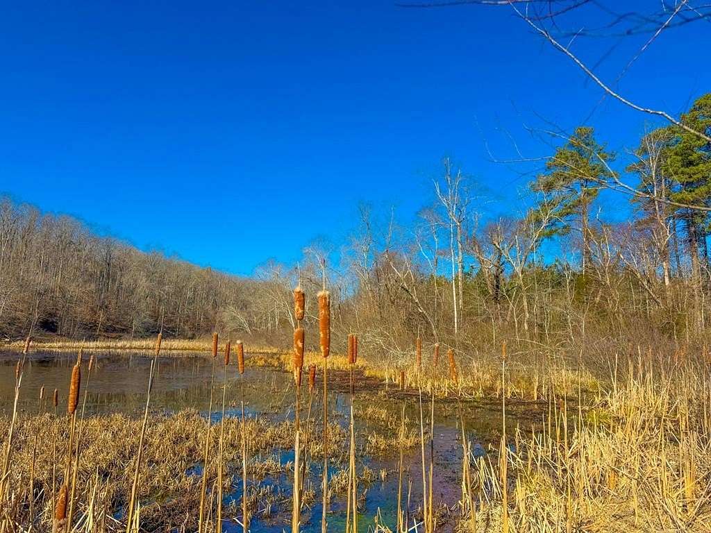 15 Acres of Recreational & Residential Land for Sale in Crewe, Virginia