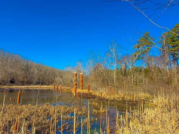 15 Acres of Recreational & Residential Land for Sale in Crewe, Virginia