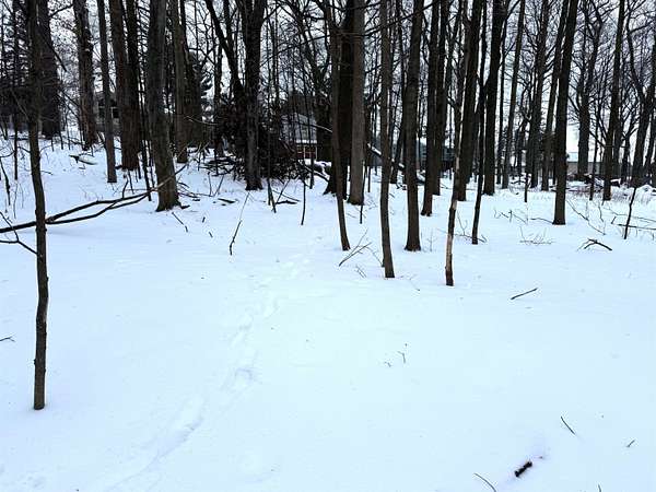 0.44 Acres of Residential Land for Sale in Wausau, Wisconsin
