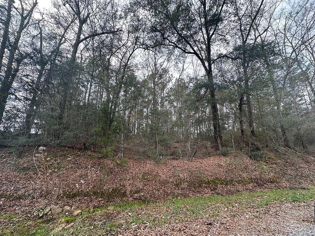 63 Acres of Recreational Land for Sale in Jack, Alabama