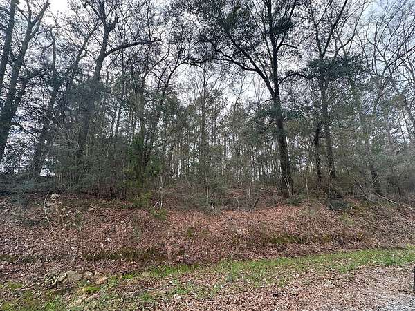 63 Acres of Recreational Land for Sale in Jack, Alabama