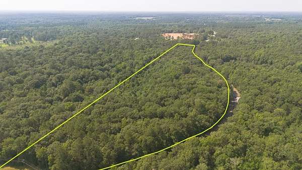 31.3 Acres of Recreational & Residential Land for Sale in Cairo, Georgia