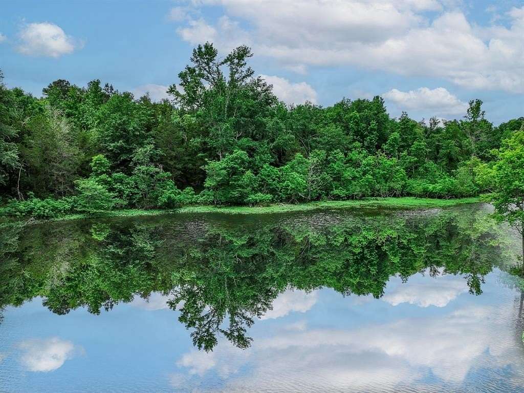 163 Acres of Recreational Land & Farm for Sale in Palestine, Texas