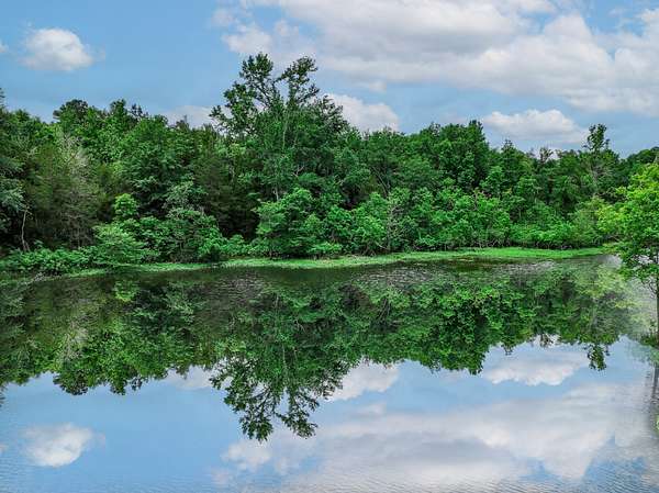 163 Acres of Land for Sale in Palestine, Texas
