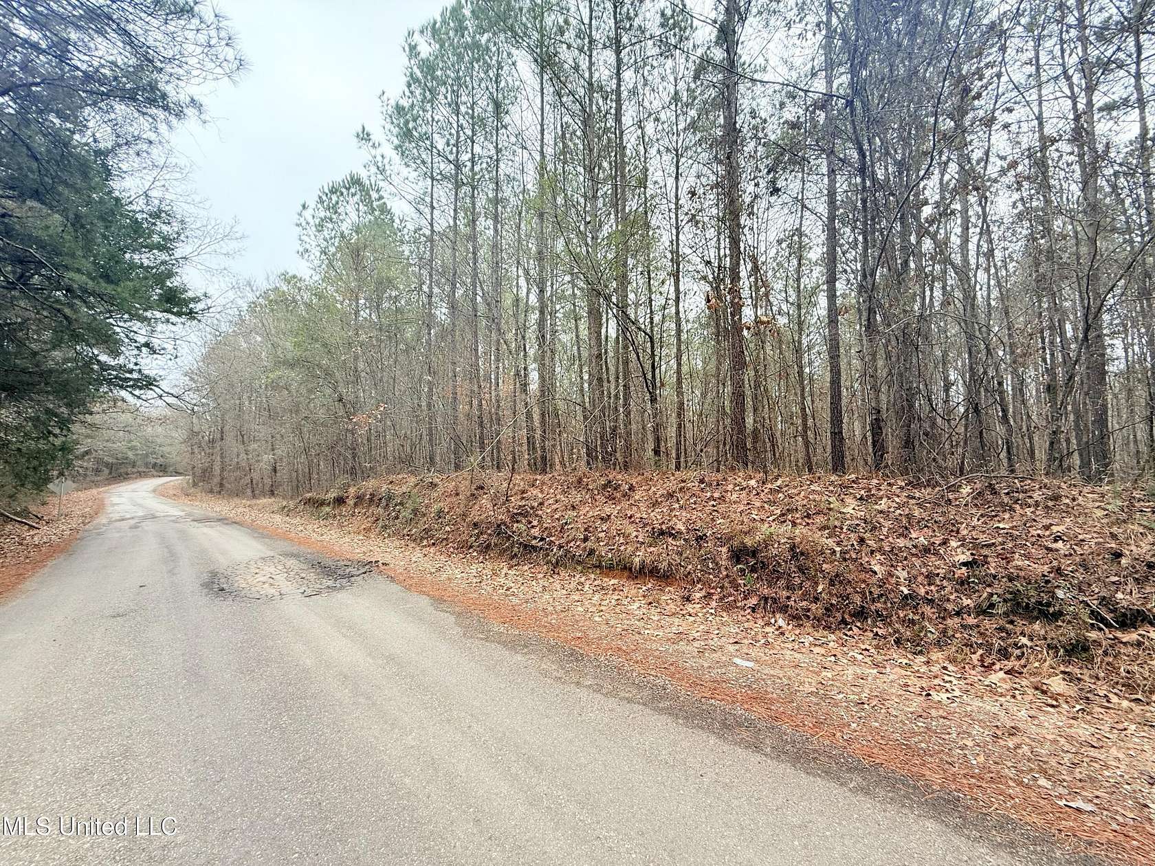 36.5 Acres of Recreational Land for Sale in Camden, Mississippi