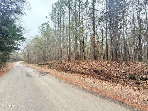 36.5 Acres of Recreational Land for Sale in Camden, Mississippi