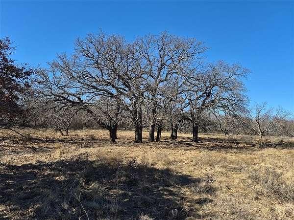 65.4 Acres of Recreational Land for Sale in Loving, Texas
