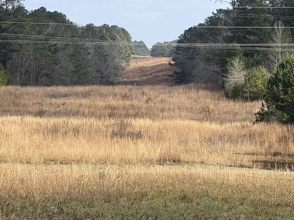 29 Acres of Land for Sale in Columbia, Mississippi