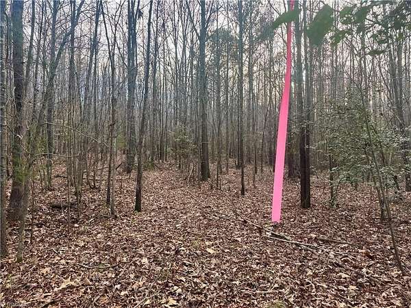 20.8 Acres of Recreational Land for Sale in Seagrove, North Carolina