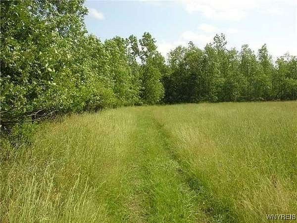 67.9 Acres of Land for Sale in Lancaster, New York