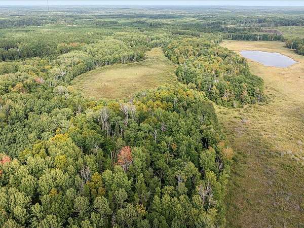 15.1 Acres of Land for Sale in Mission Township, Minnesota