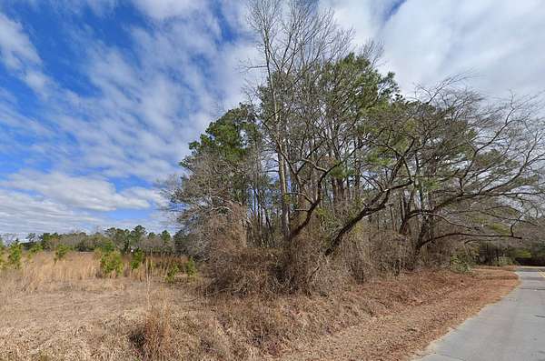 0.54 Acres of Residential Land for Sale in Wallace, North Carolina