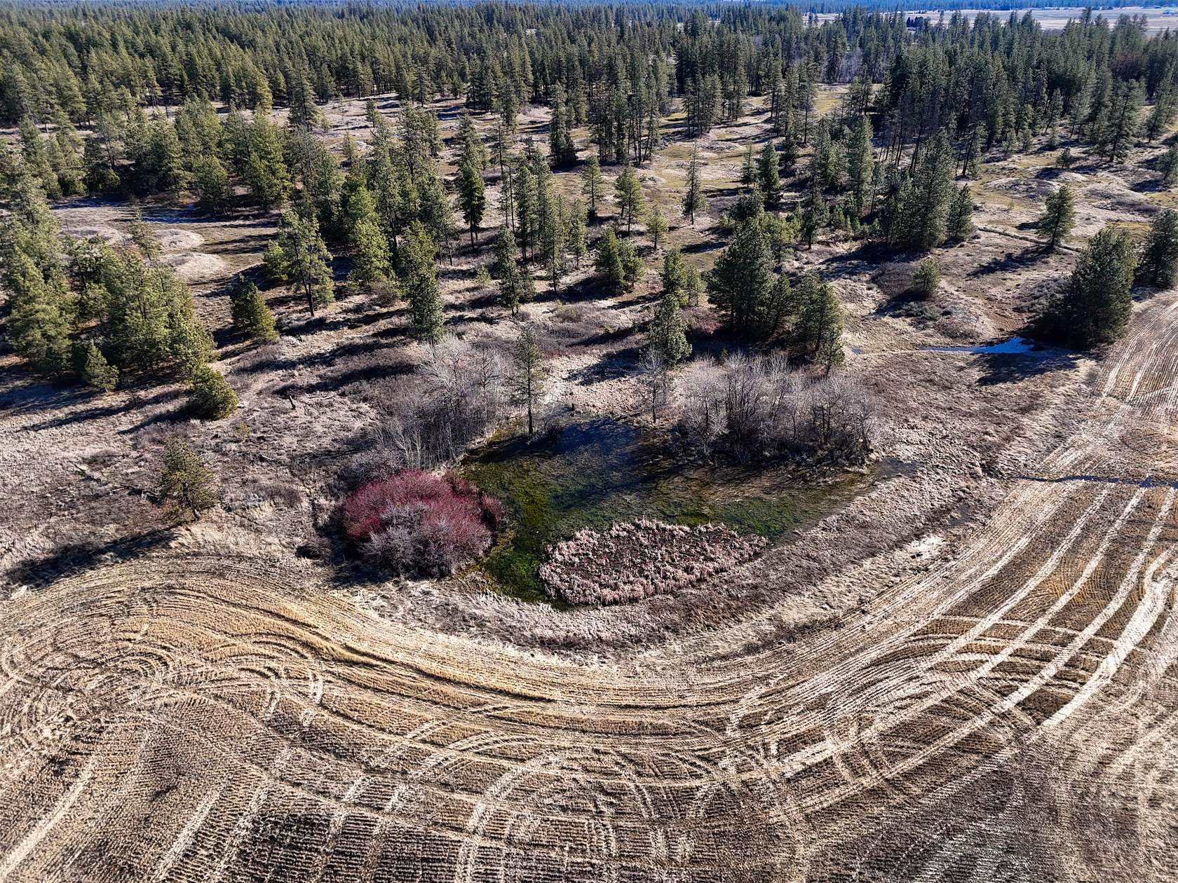 153 Acres of Land for Sale in Reardan, Washington