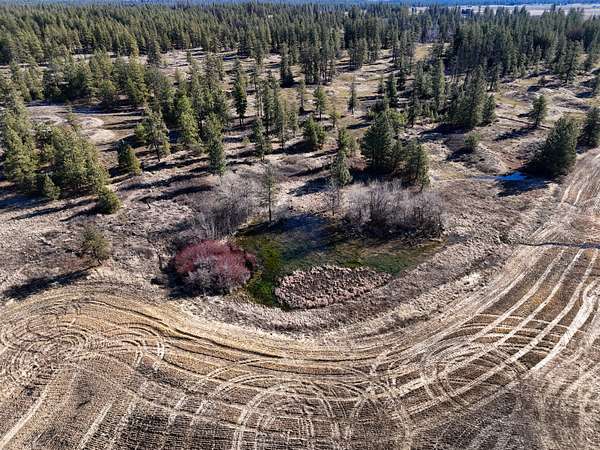 153 Acres of Land for Sale in Reardan, Washington