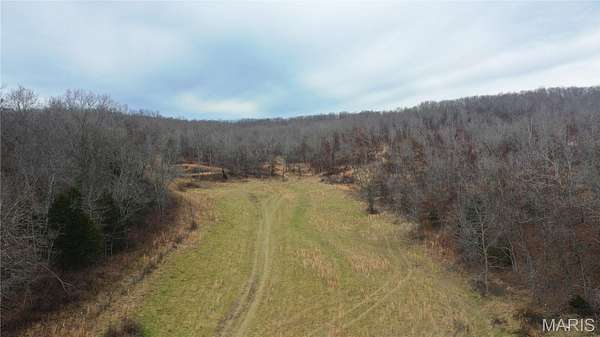 39.2 Acres of Land for Sale in Salem, Missouri