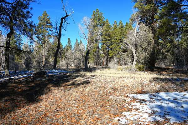 6.7 Acres of Recreational Land for Sale in Chama, New Mexico