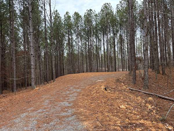 3.9 Acres of Residential Land for Sale in Centre, Alabama