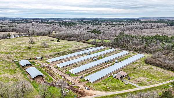 11 Acres of Land for Sale in Gibsland, Louisiana