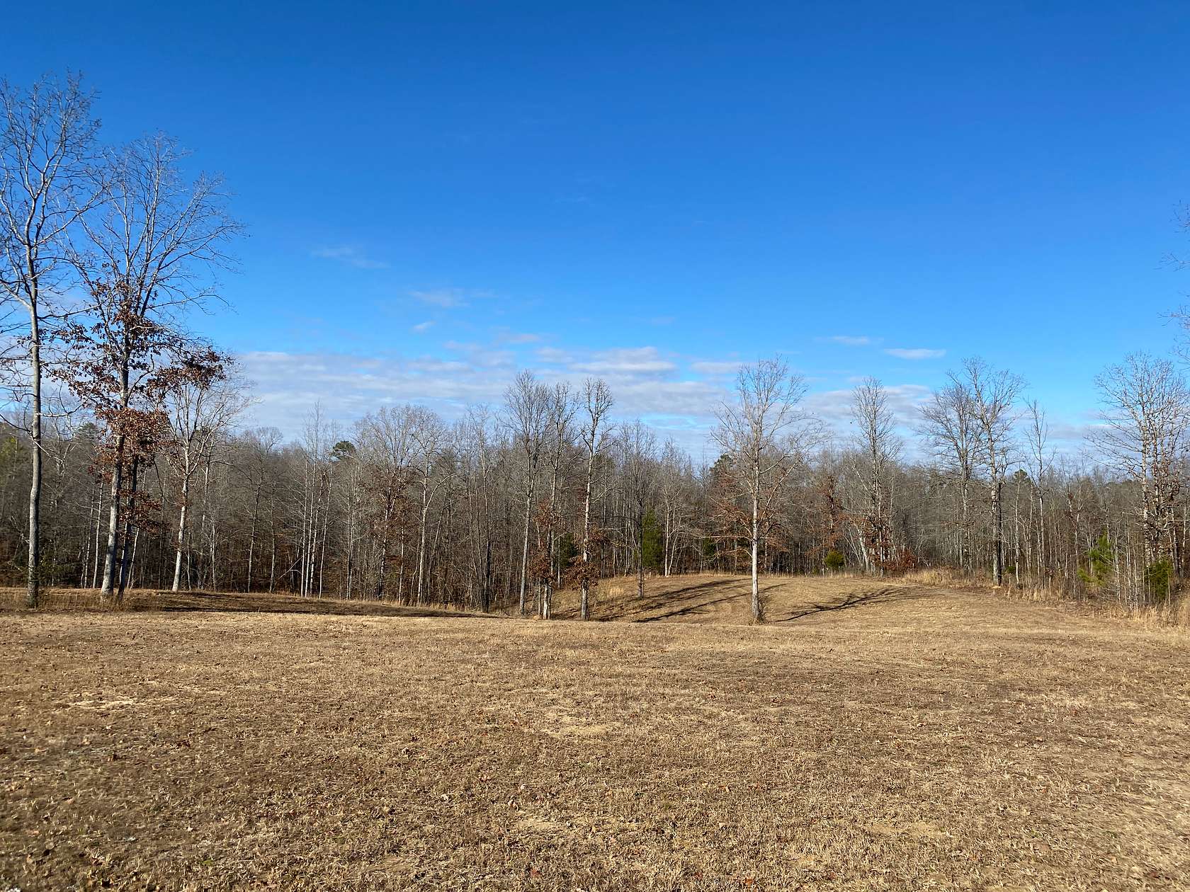 31.2 Acres of Land for Sale in Savannah, Tennessee