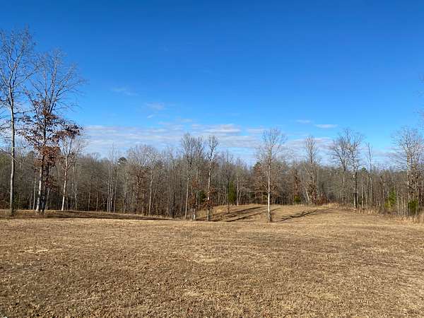 31.2 Acres of Land for Sale in Savannah, Tennessee