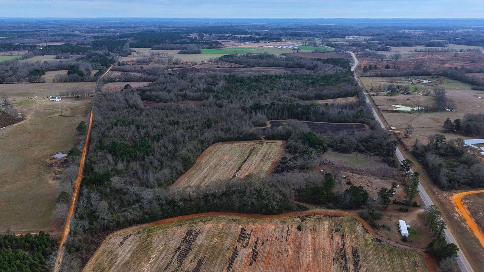 117 Acres of Recreational & Residential Land for Sale in Luverne, Alabama