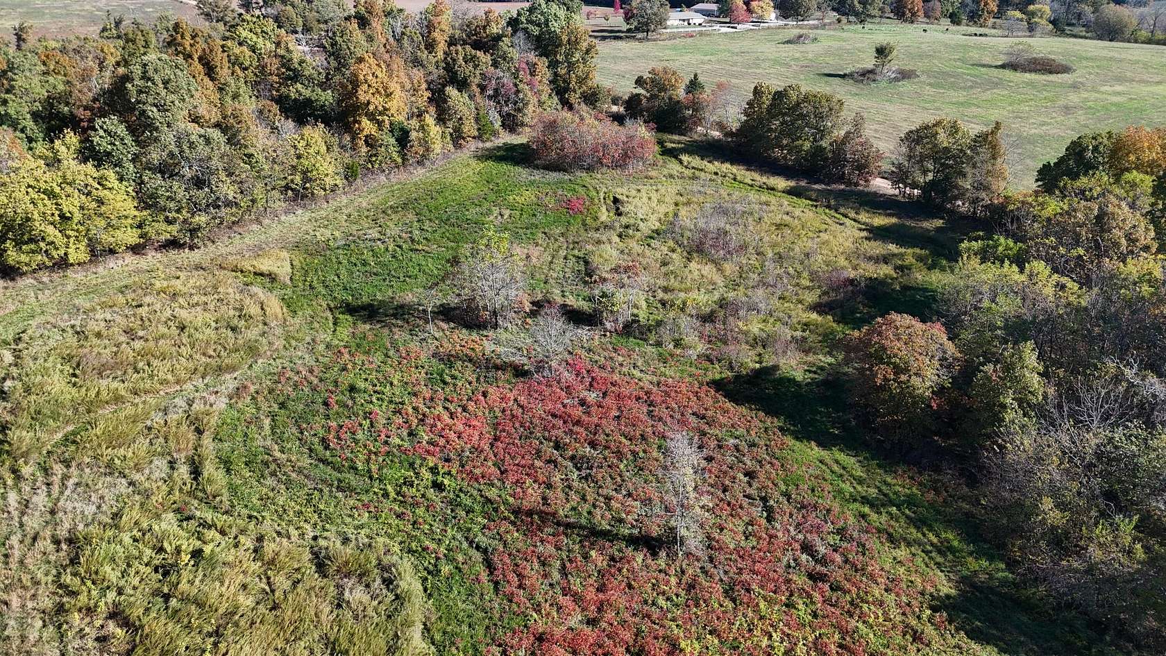 85 Acres of Recreational Land for Sale in Norwood, Missouri