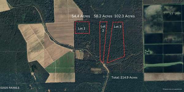 58.2 Acres of Recreational Land for Sale in Melville, Louisiana