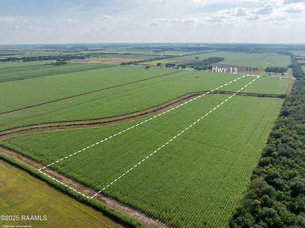 15.1 Acres of Recreational Land for Sale in Kaplan, Louisiana