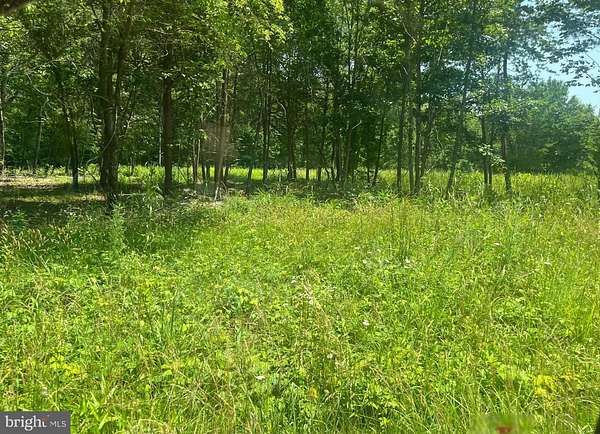 1.74 Acres of Commercial Land for Sale in Bumpass, Virginia
