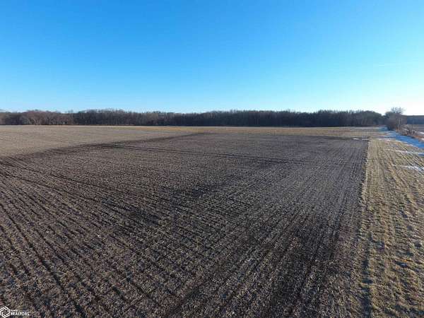 76.5 Acres of Agricultural Land for Sale in Buckingham, Iowa