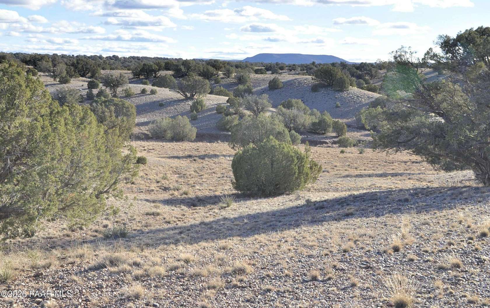 79 Acres of Recreational Land for Sale in Concho, Arizona