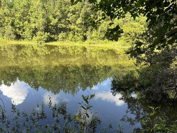 55 Acres of Recreational Land for Sale in Bainbridge, Georgia