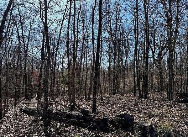 0.3 Acres of Residential Land for Sale in Bella Vista, Arkansas