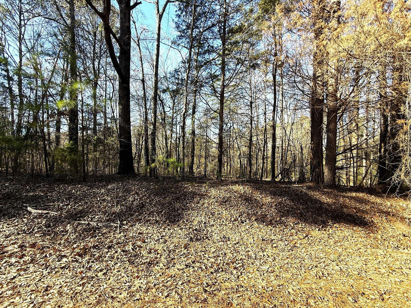 1.13 Acres of Residential Land for Sale in Fulton, Mississippi