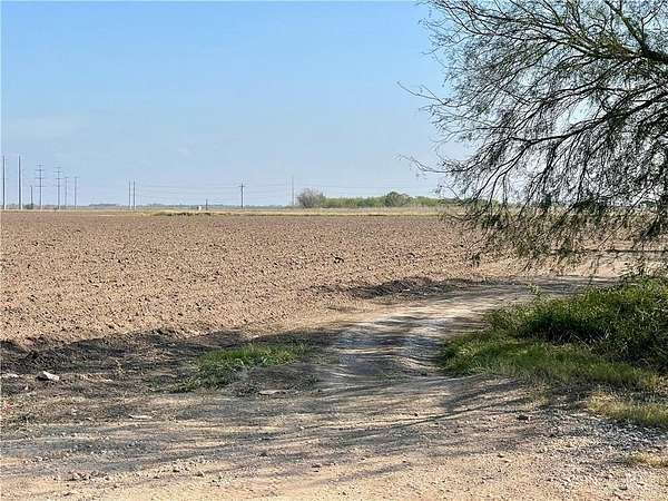 9.66 Acres of Agricultural Land for Sale in Progreso, Texas
