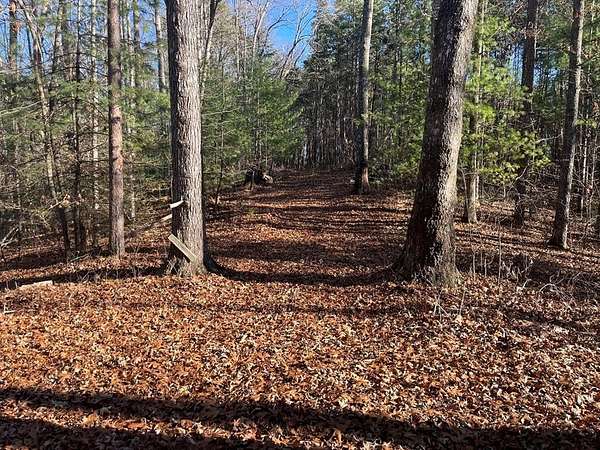 9.55 Acres of Residential Land for Sale in Murphy, North Carolina