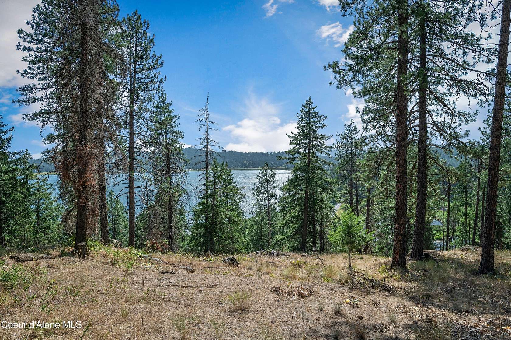 5 Acres of Improved Residential Land for Sale in Hauser, Idaho