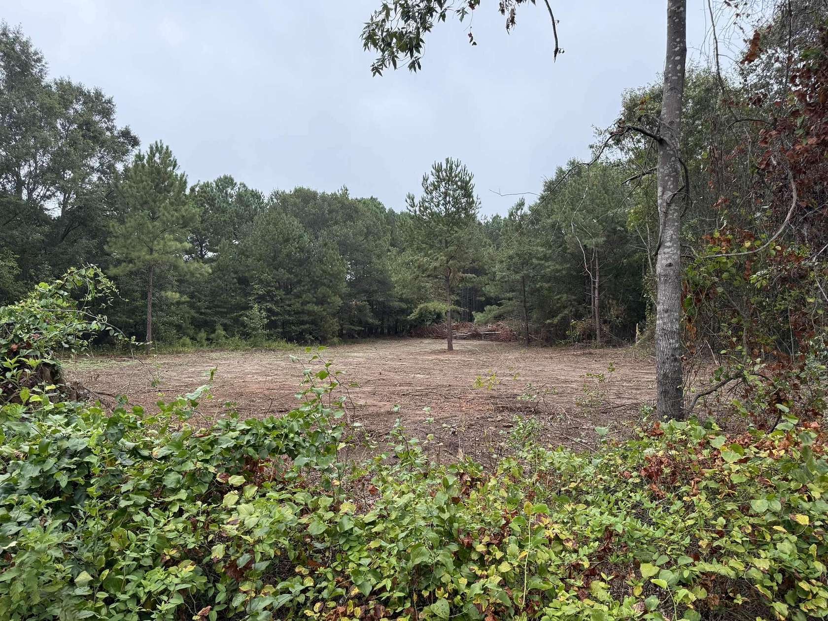2.49 Acres of Residential Land for Sale in Chesnee, South Carolina