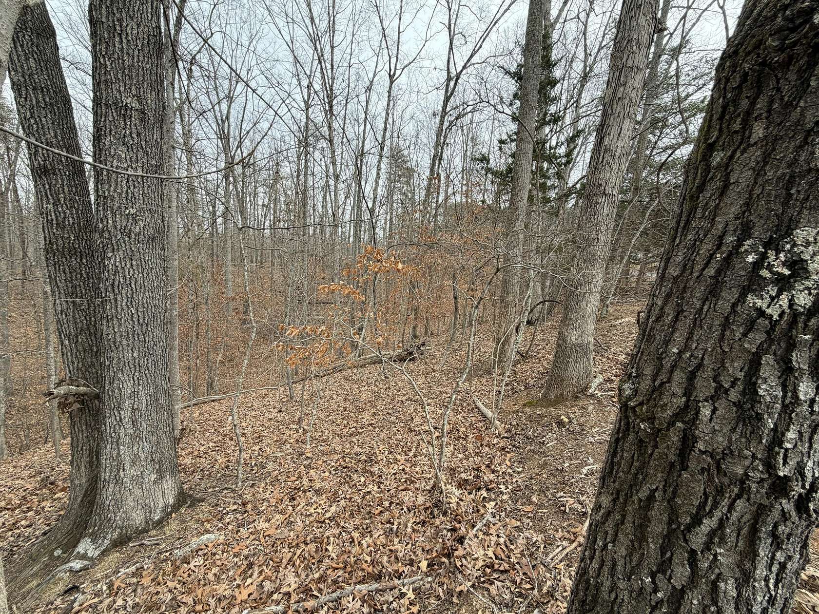 0.94 Acres of Residential Land for Sale in Moneta, Virginia