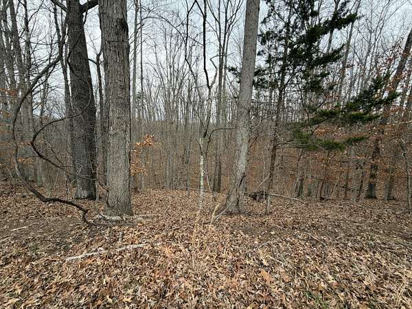 0.94 Acres of Residential Land for Sale in Moneta, Virginia