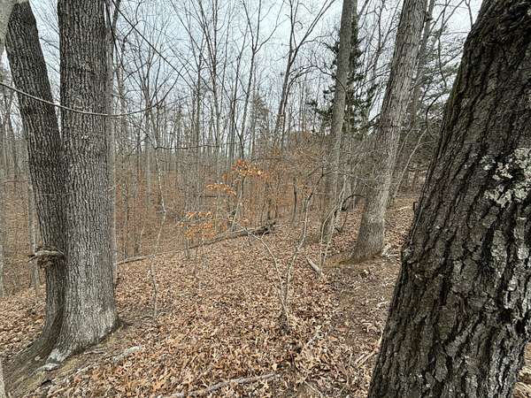 0.94 Acres of Residential Land for Sale in Moneta, Virginia