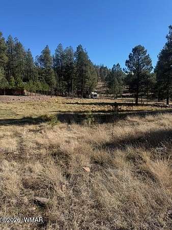 0.72 Acres of Residential Land for Sale in Alpine, Arizona