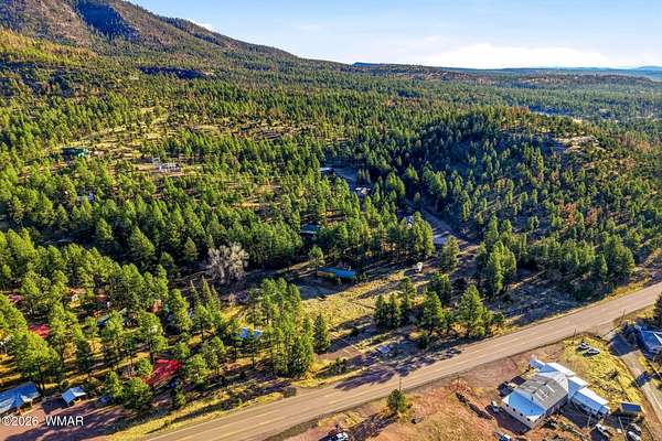 0.72 Acres of Residential Land for Sale in Alpine, Arizona