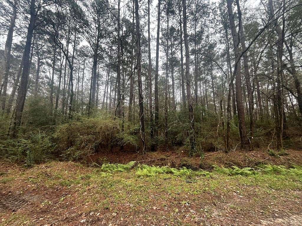 0.27 Acres of Residential Land for Sale in Vidor, Texas