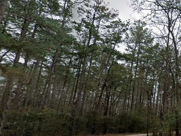 0.27 Acres of Residential Land for Sale in Vidor, Texas