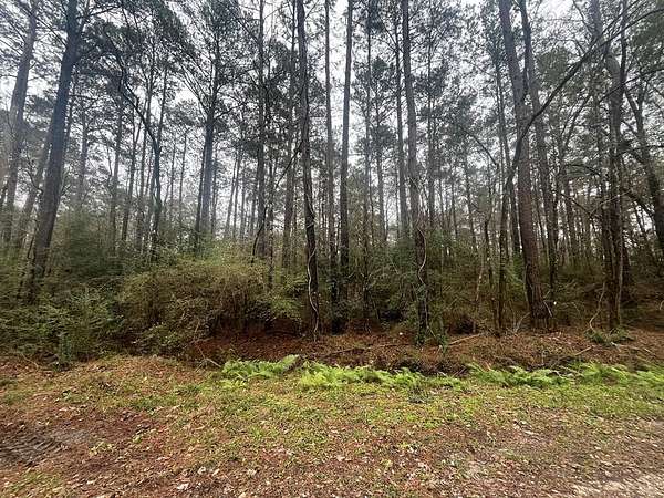 0.27 Acres of Residential Land for Sale in Vidor, Texas