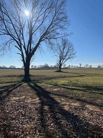 20 Acres of Land for Sale in Covington, Tennessee